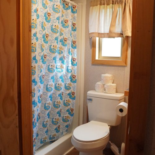 Lakeview-Cindy-Bear-bath