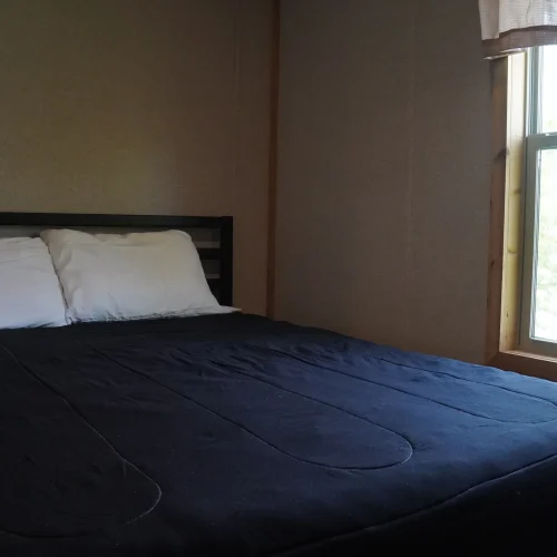 Pine-Grove-Yogi-bed
